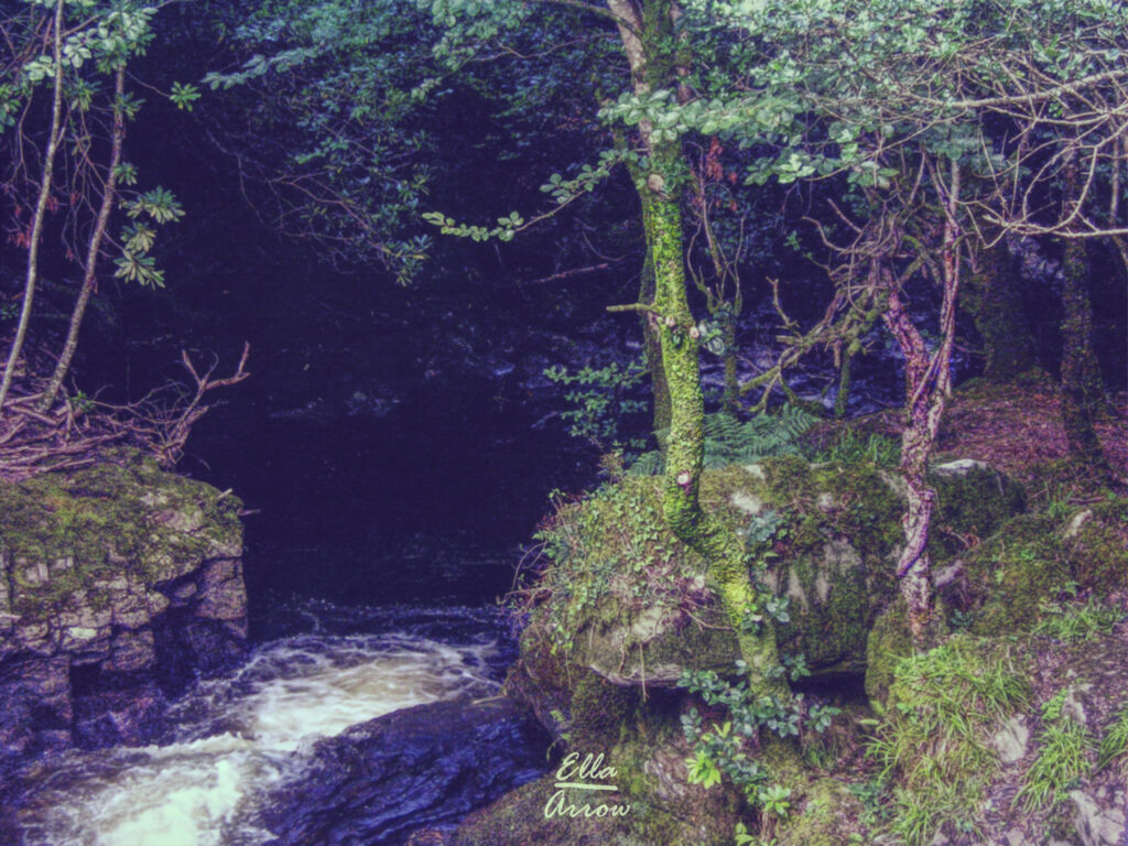 Fairy Creek, a mossy cliff of forest hangs above a turn in a creek. Killarney, Ireland