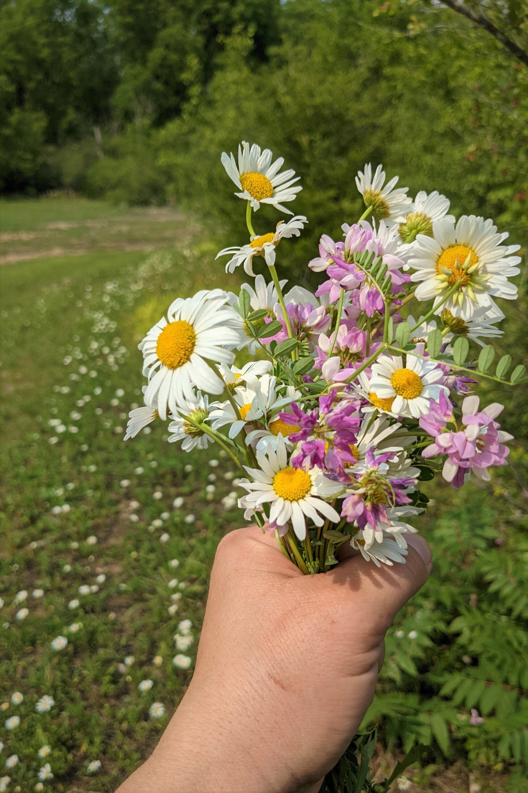 Fistful of Summer Flowers