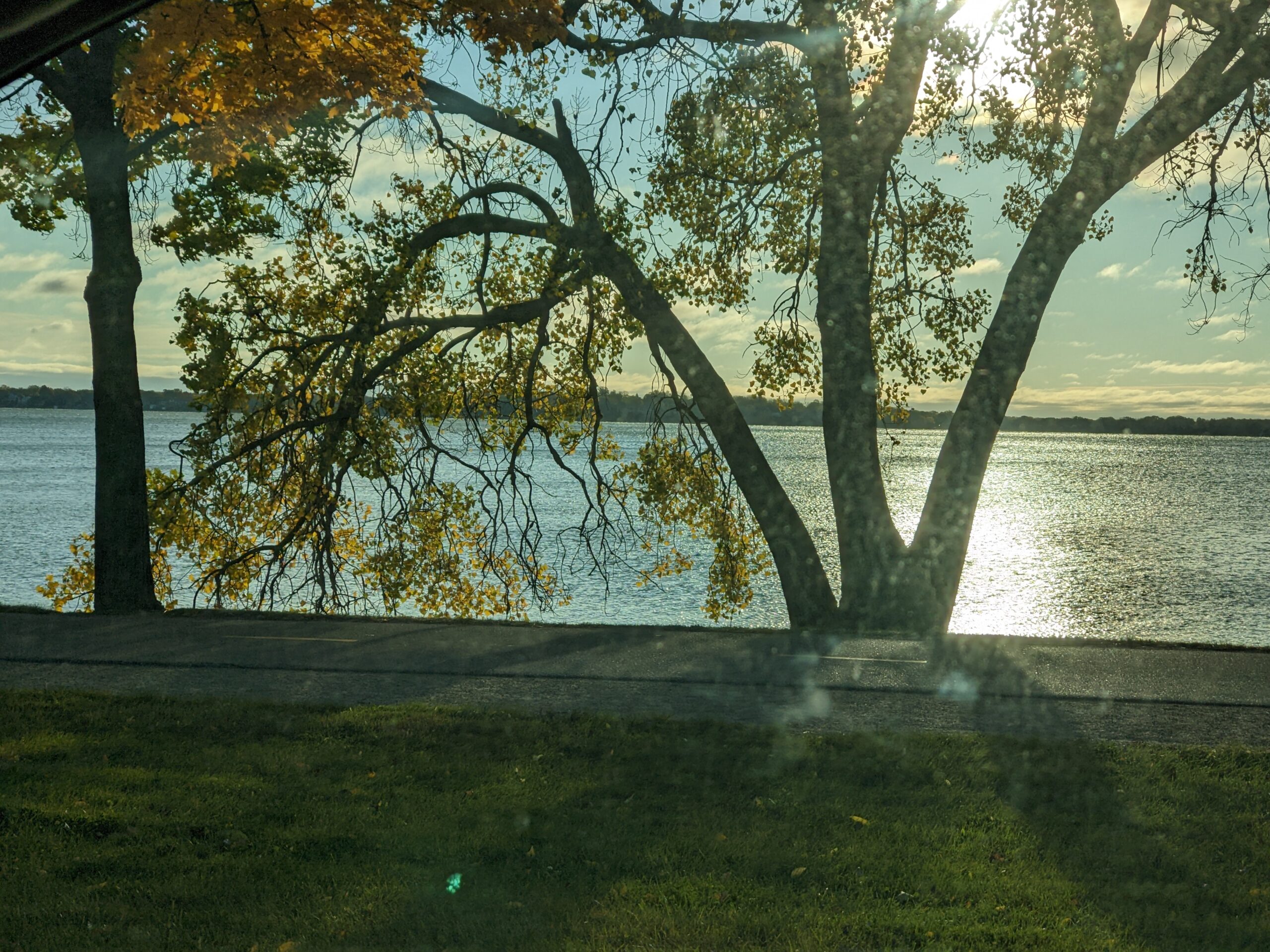 morning lake view from the road, sun glimmering on the water and shining through leave of a tree