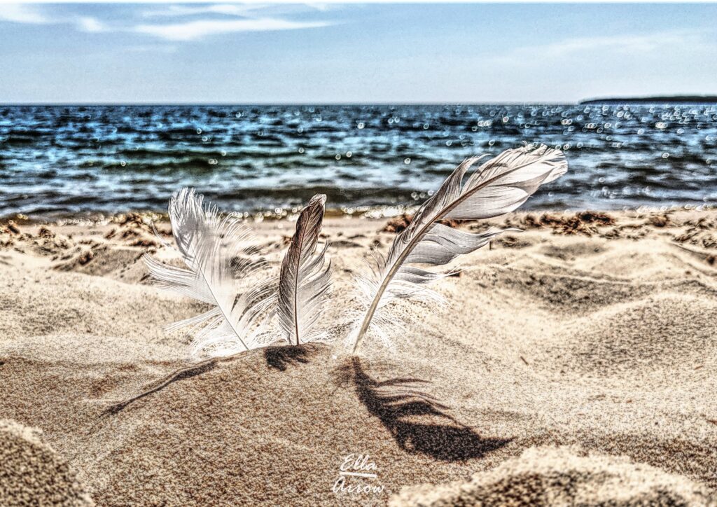 Three white feathers stabbed into a sandy beach, blue water in the background.